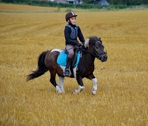 Aarteen Billy the Kid